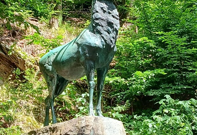 Bild 24