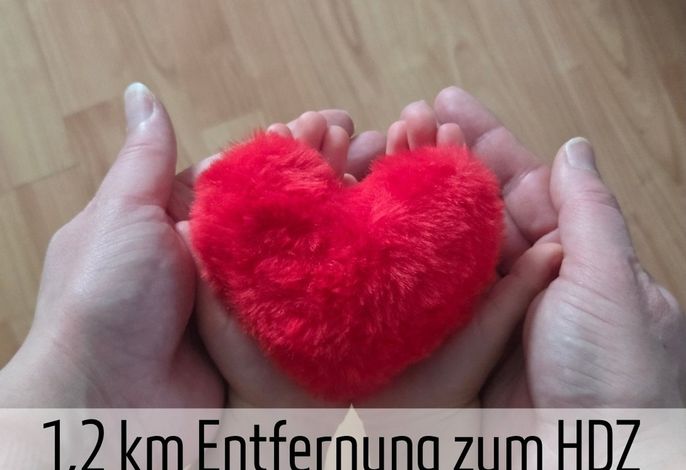 Bild 16