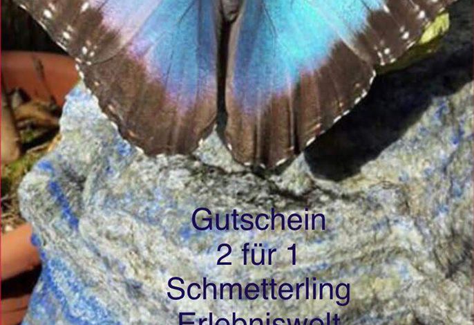 Bild 18