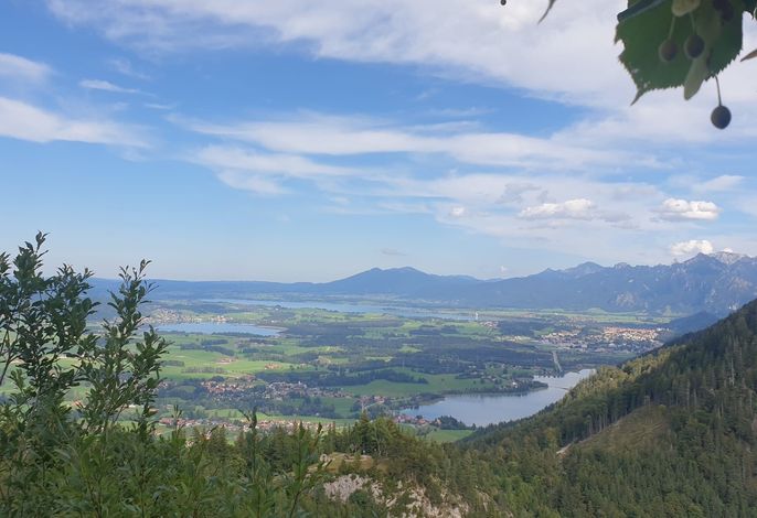Bild 16
