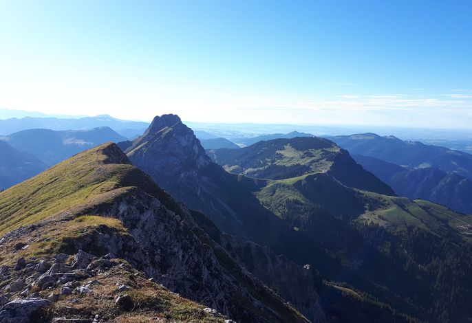 Bild 14