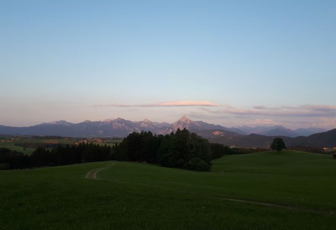 Bild 34