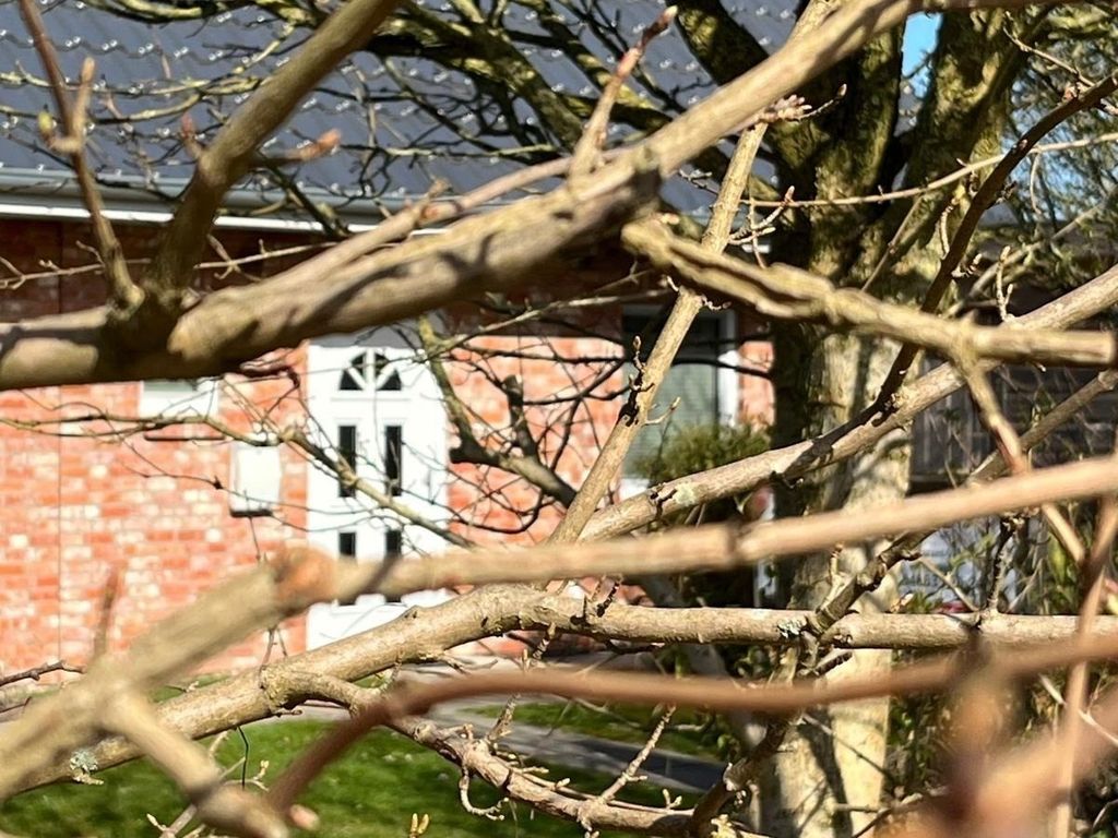Wattsand