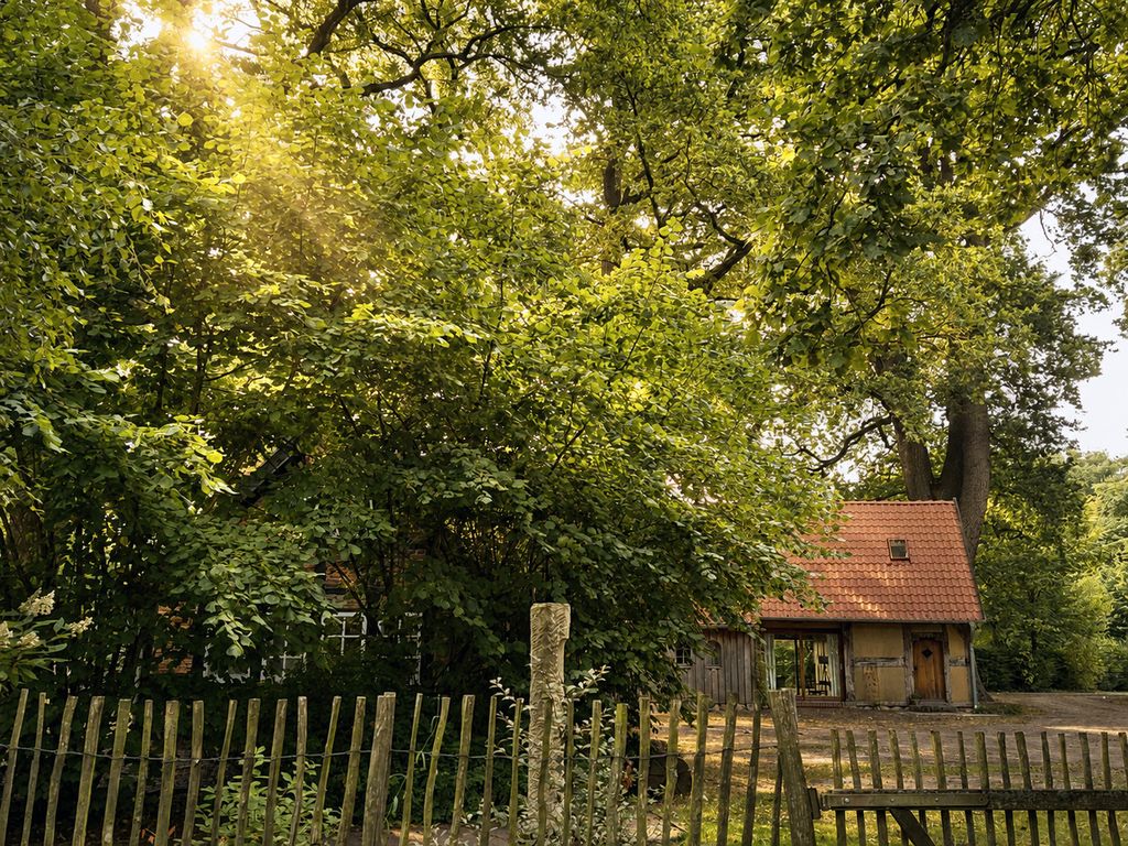 Wellness-Auszeit im Dümmer-Weserland in außergewöhnlichem Ferienhaus inklusive privates Saunahaus