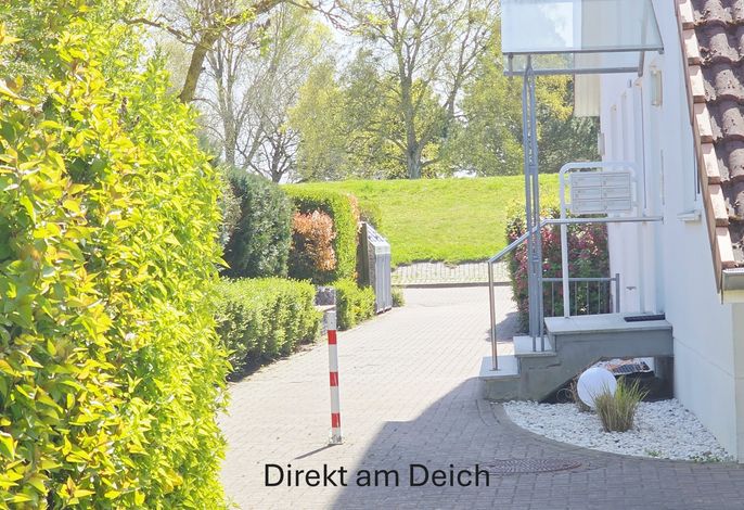 Bild 20