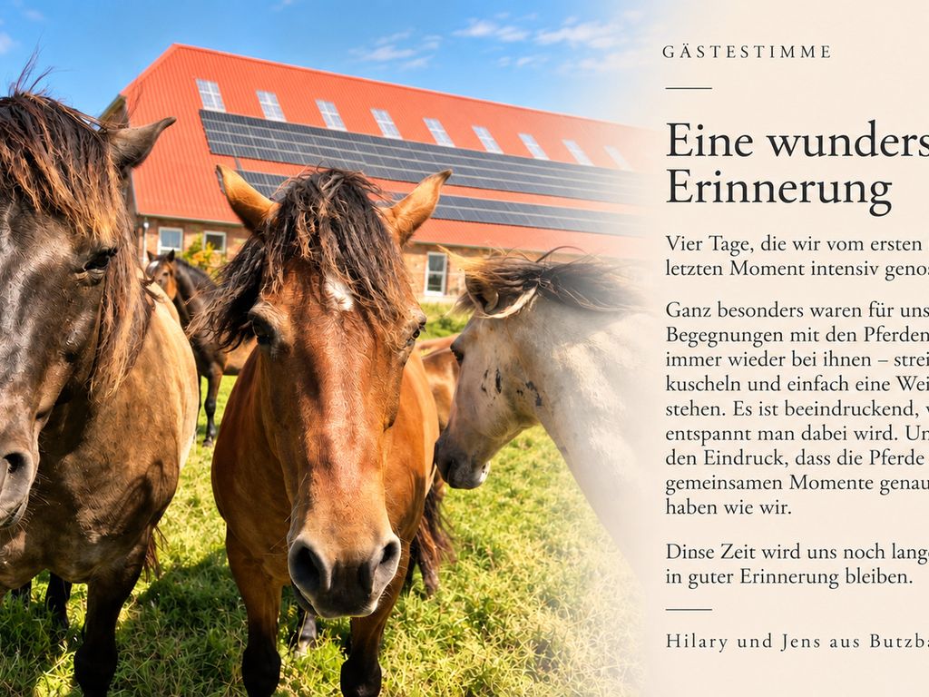 Sömmerland, Exklusive 4-Sterne-FeWo von 2024, Sonnenterrasse, 150 m zur Nordsee, eigener Zugang