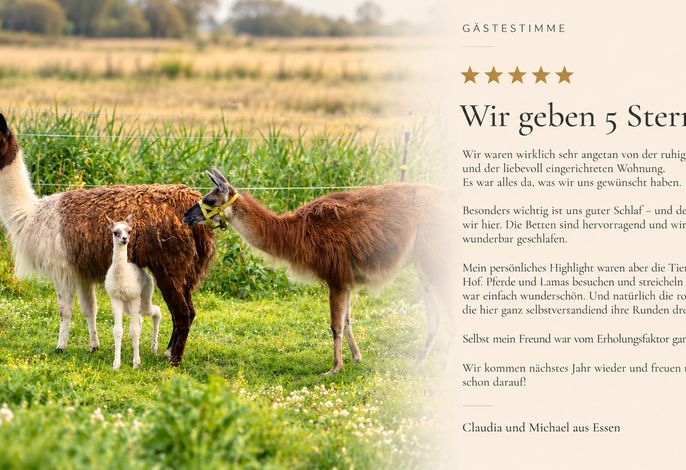Bild 21