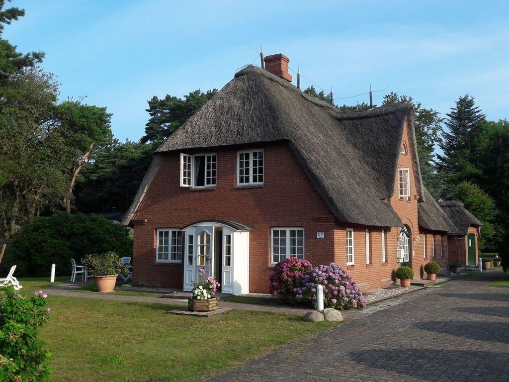 Heringsmöwe