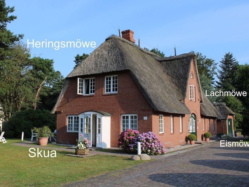Eismöwe