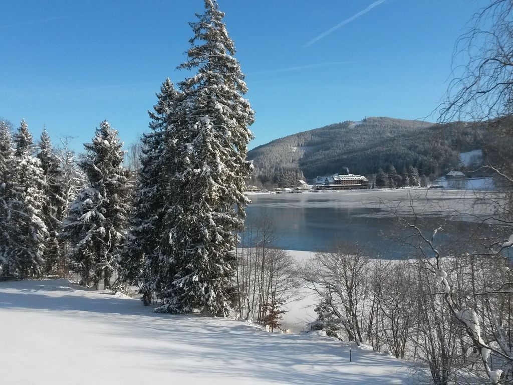 Ferienhaus am Titisee - mit Seeblick & eigenem Seezugang, Hinterzarten