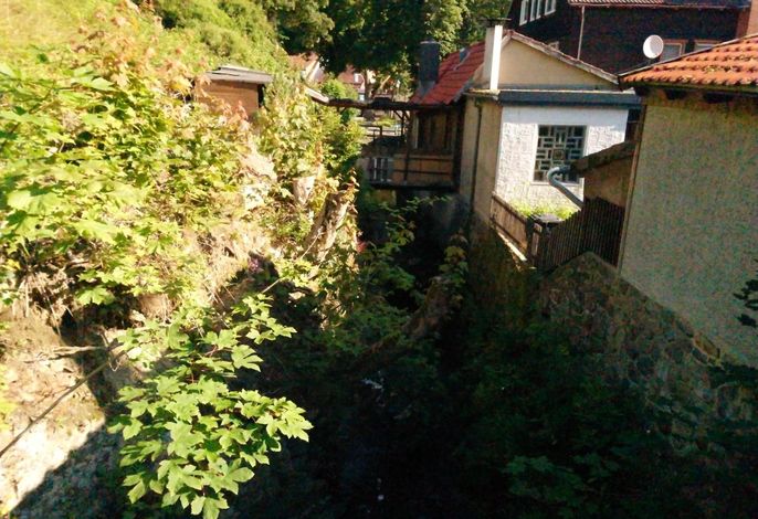 Bild 12