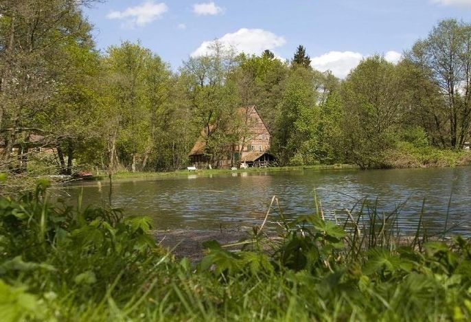 Bild 9