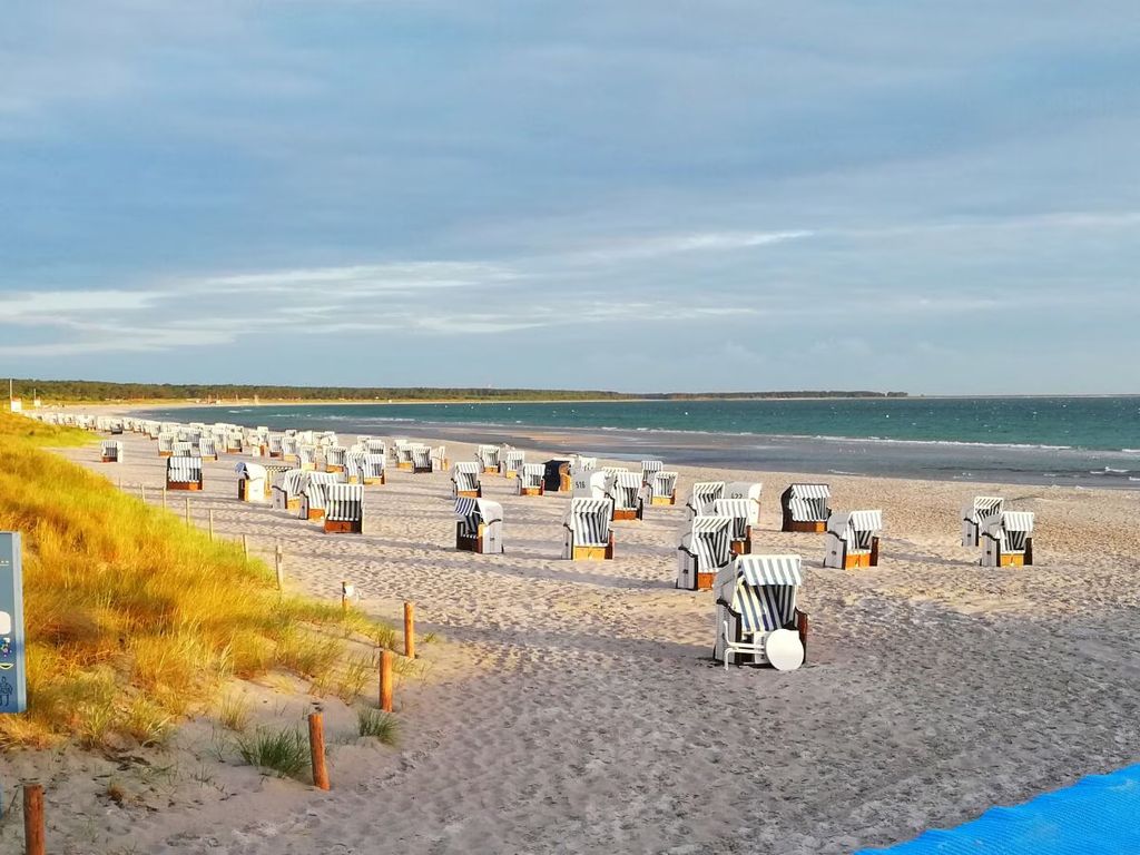 Ostseedeich (08)