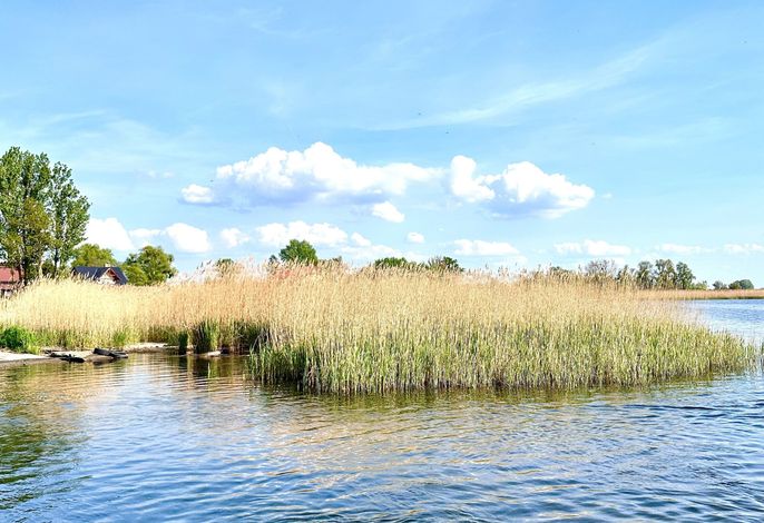 Bild 15