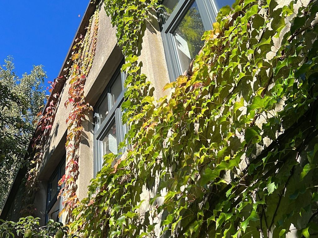 Alte Büdnerei  - "Gartenappartement"
