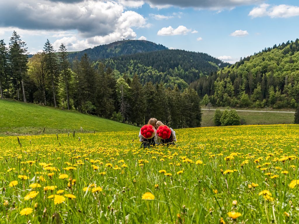 Schwarzwaldhaus Wiesenblick - App. "Blumenzimmer" in Todtmoos