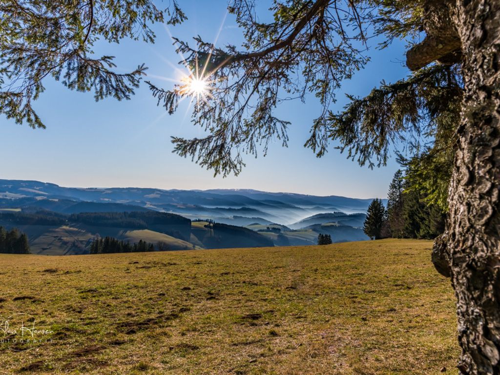 Schwarzwaldhaus Wiesenblick - App. "Tannenblick" in Todtmoos