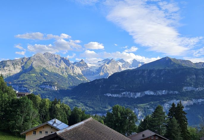 Bild 13