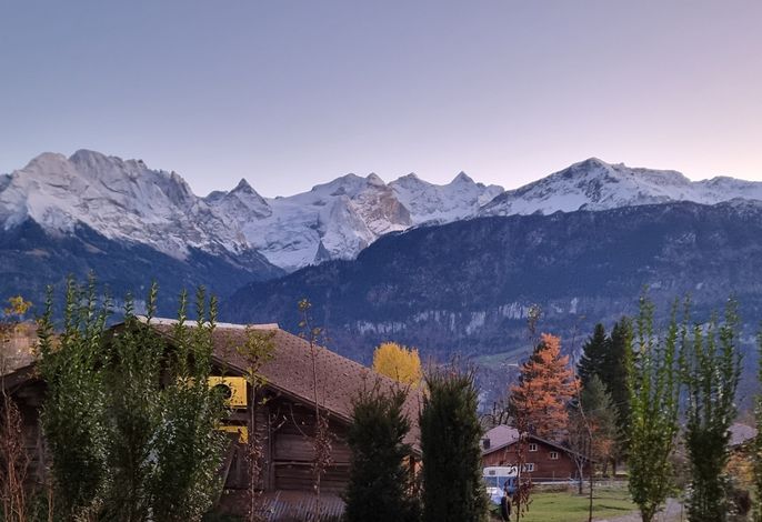 Bild 12