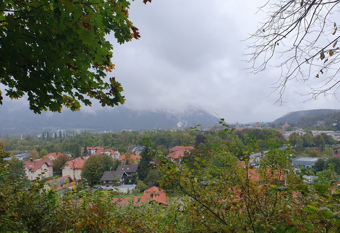 Bild 45