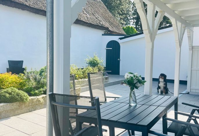 Naturidyll Mariendorf  - Ferienwohnung Zickersche Berge – Foto 1