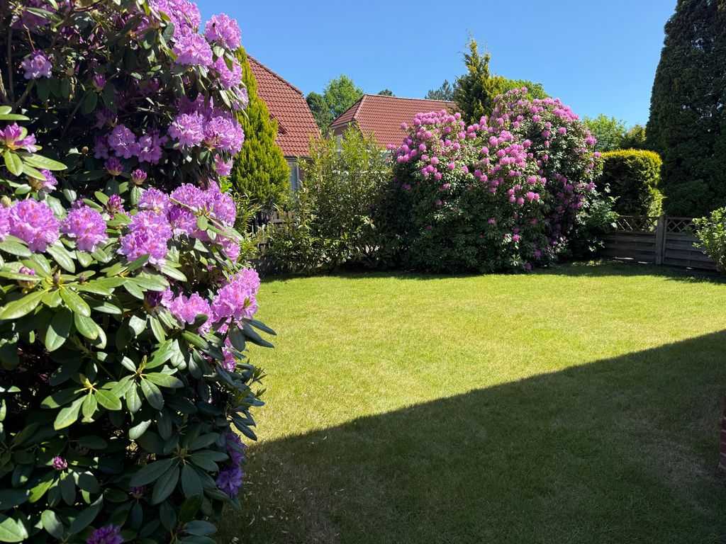 Ferienhaus Seerrobbe
