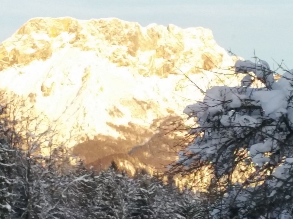 FeWo Untersberg 38m² im Lehnhäusl
