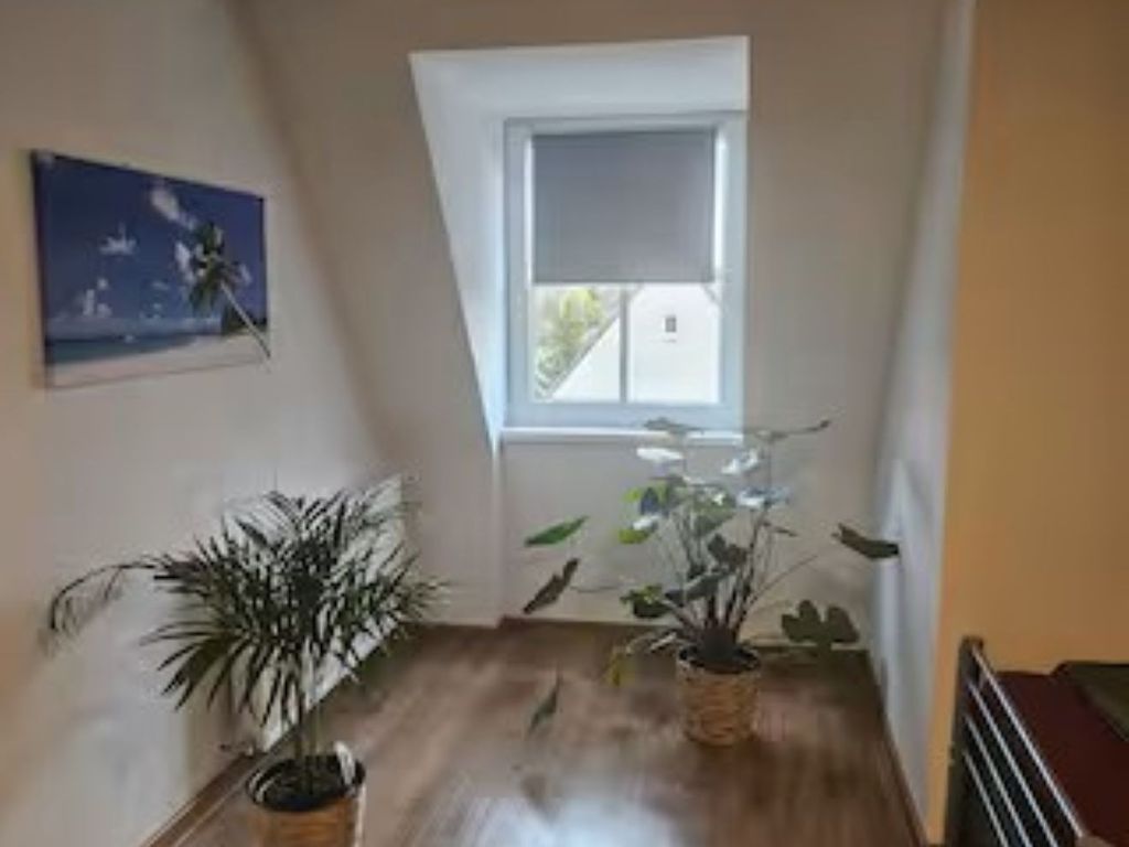 Schöne Vollausgestattete Monteurs- Gästewohnung in der Gartenstadt Leuna und nähe Geiseltalsee / 2208