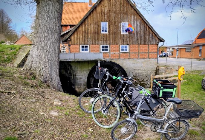 Bild 14