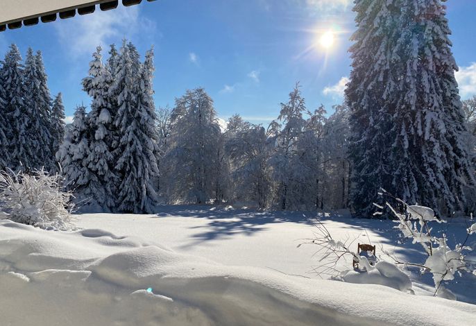 Bild 15