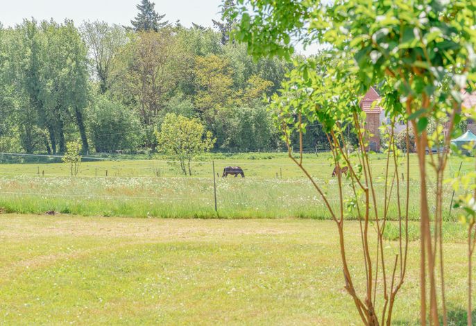Photo Ferienwohnung Koppelblick II - Boldevitzer Rügenkaten 9