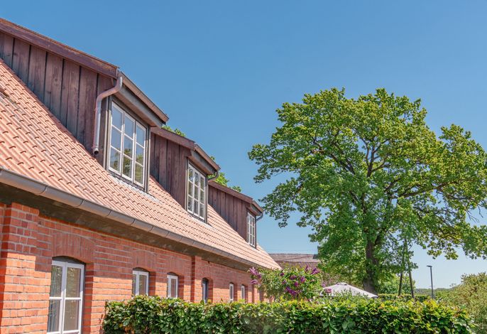 Photo Ferienwohnung Koppelblick II - Boldevitzer Rügenkaten 10