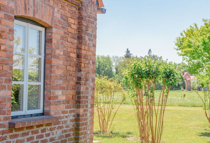 Photo Ferienwohnung Koppelblick I - Boldevitzer Rügenkaten 5