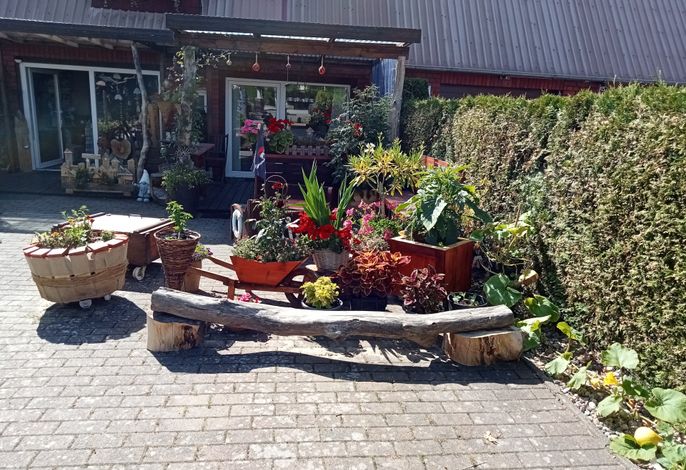 Bild 11