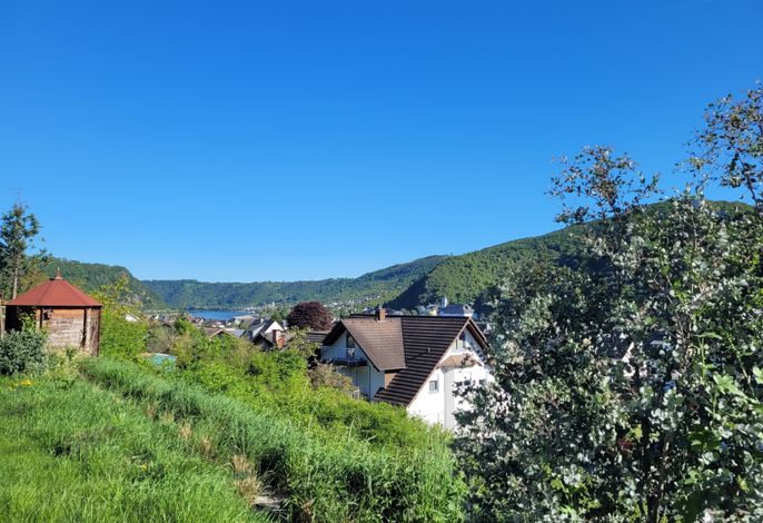 Bild 9