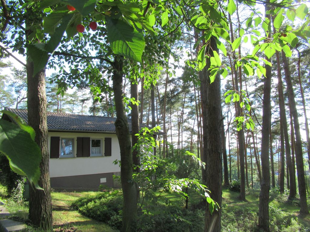 Feriendorf Mengshausen 5