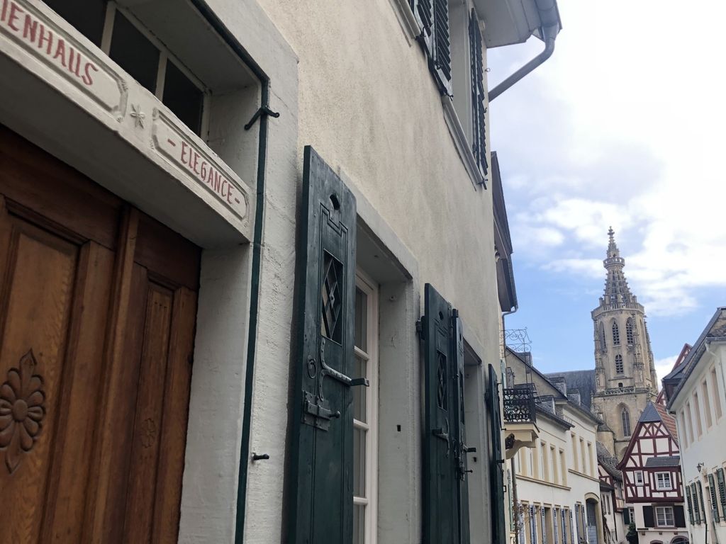 Altstadtmeise Elegance