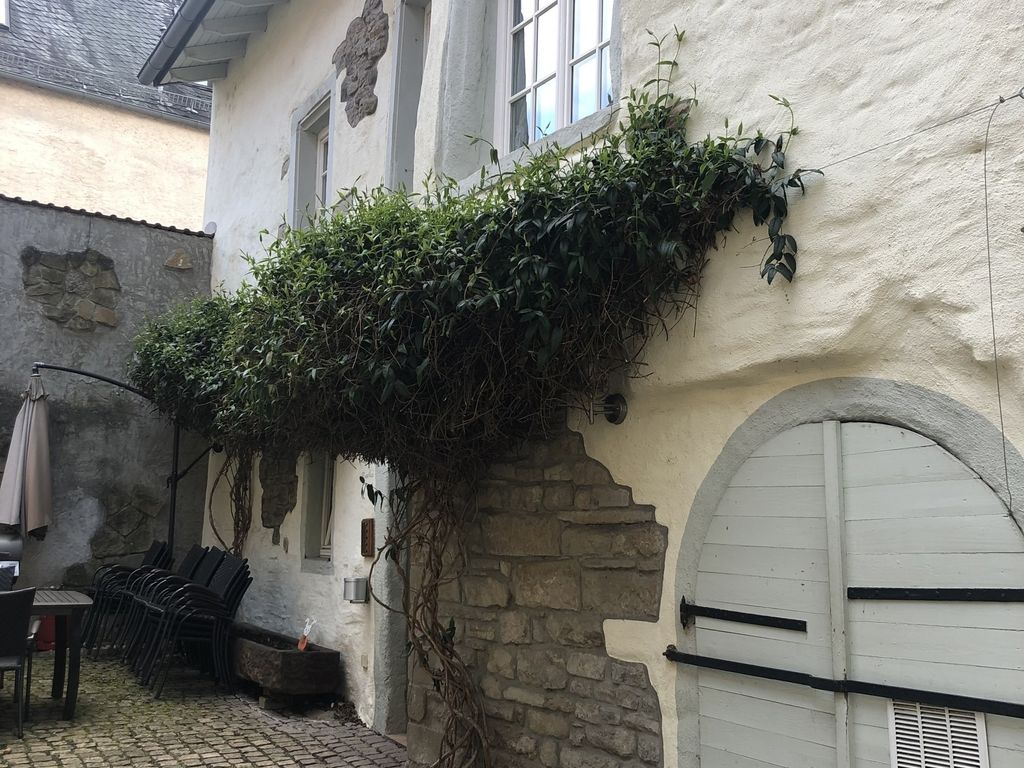 Altstadtmeise Rustika