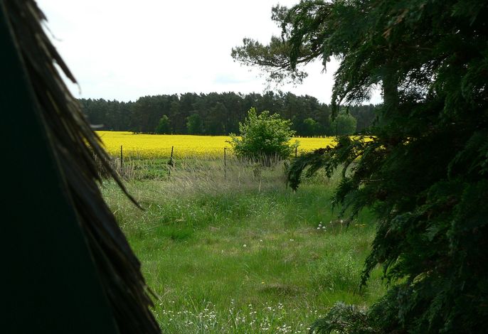 Bild 14