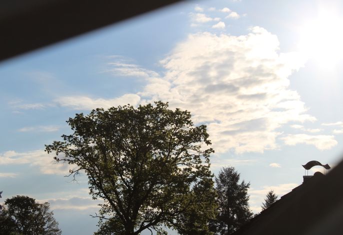 Bild 24