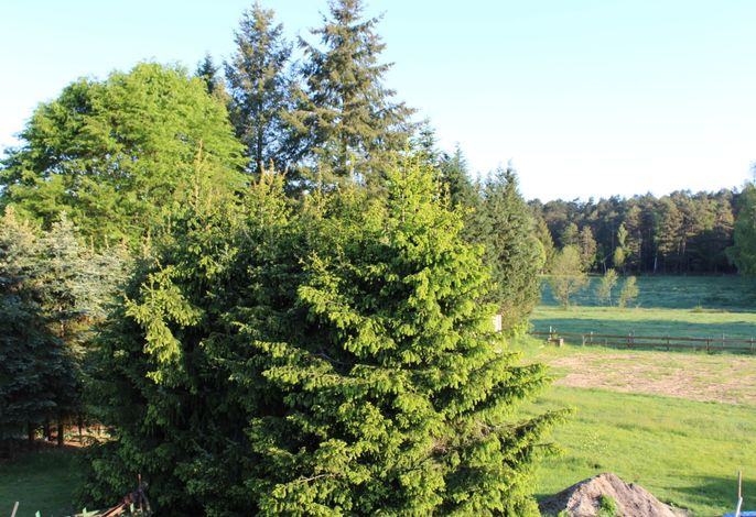 Bild 22