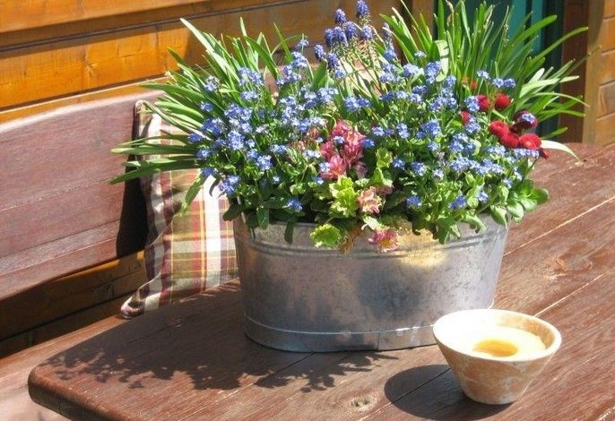Bild 8