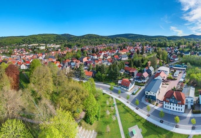 Bild 19