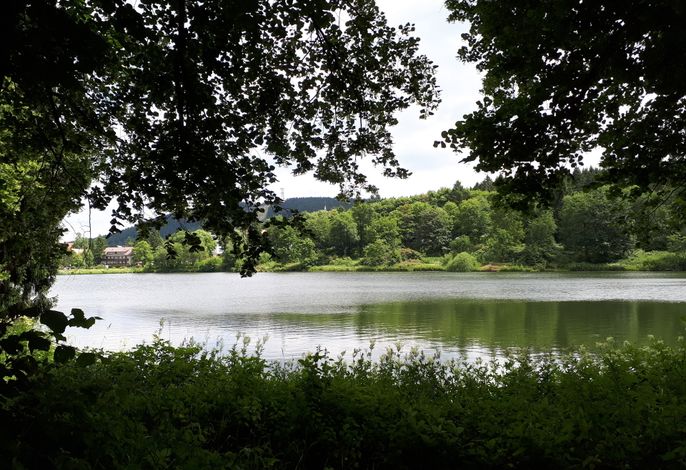 Bild 17