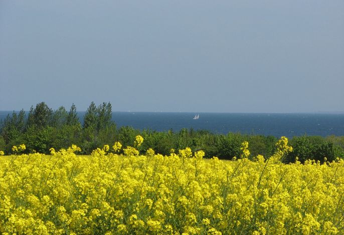 Bild 17