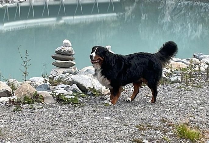 Bild 14
