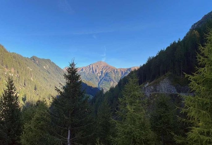 Bild 19