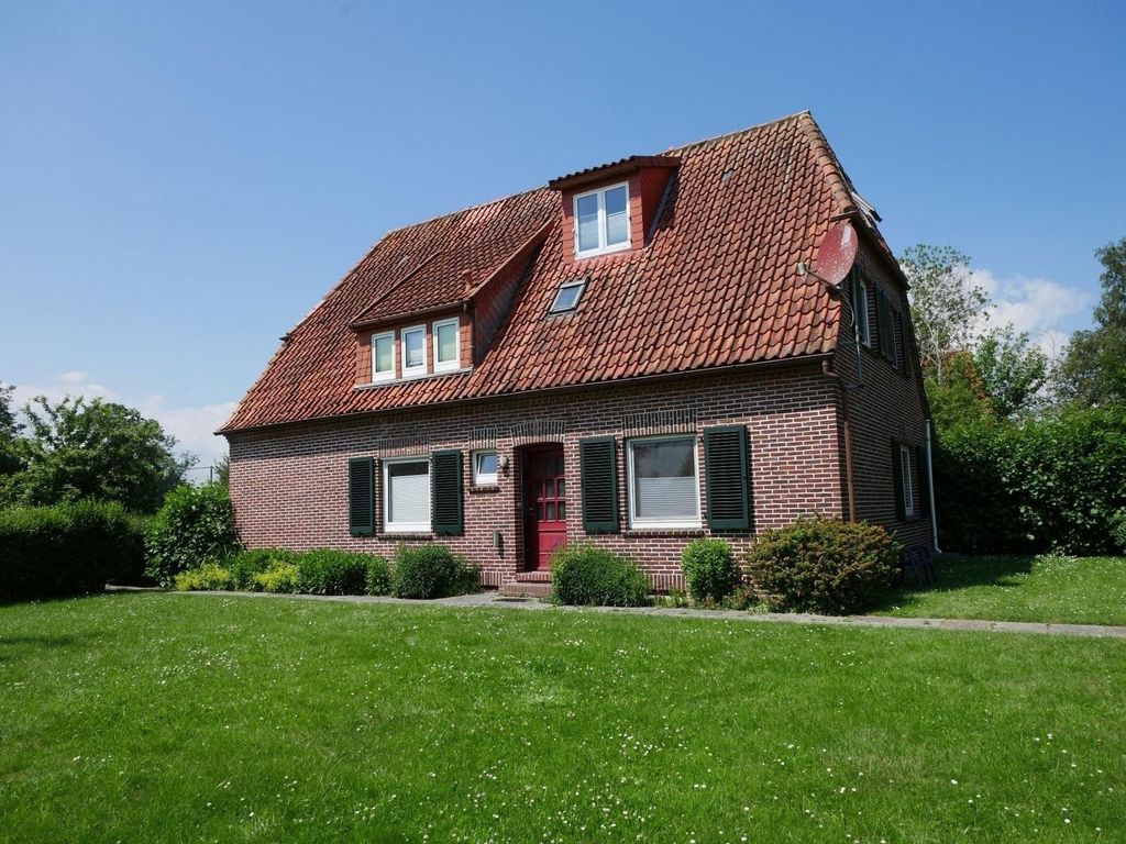 Heringsmöwe