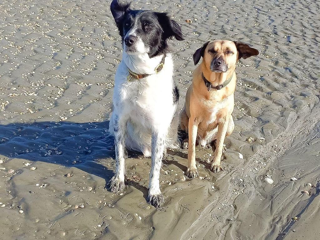 Land & Meer Wohnung 9