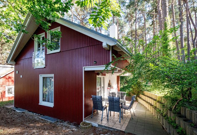 Ferienhaus Dünenperle nur 150 Meter bis zum Strand – Foto 1